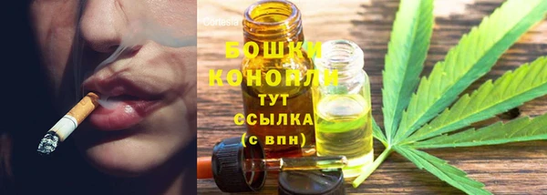 ГАЛЛЮЦИНОГЕННЫЕ ГРИБЫ Навашино