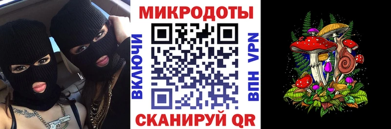 наркотики Нижняя Тура Галлюциногенные грибы Psilocybine cubensis