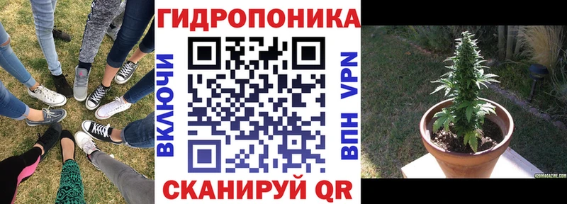 Каннабис индика  Нижняя Тура 